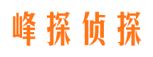 东山区侦探